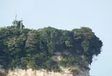 阿尾城跡