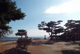 唐崎神社