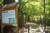 瑞宝寺公園