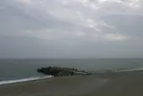 桂浜