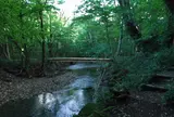 男池湧水群