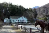 乗馬牧場ホワイトサドル