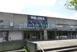 福島ガイナックス