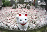 豪徳寺
