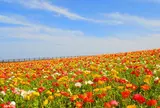 あわじ花さじき