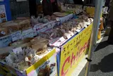 チーサ