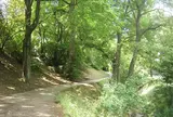 Beethovengang