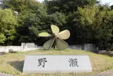 野瀬