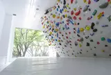 Peki peki bouldering studio渋谷明治通り本店