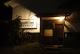 ダンデライオン