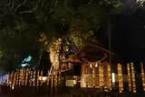 御所通り