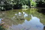 出口池