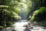 瀧原宮（たきはらのみや）