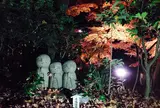長谷寺
