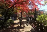 井の頭恩賜公園