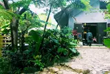 Cafe ichara