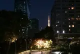 東京ミッドタウン