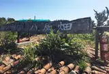 黒糖工房・青空喫茶 八風畑