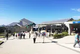 沖縄美ら海水族館