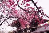 真清田神社