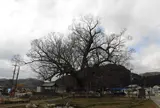能勢町役場 けやき資料館