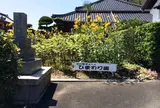 大楽寺／ひまわり