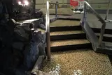 道後舘