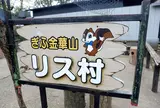 リス村
