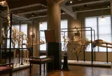 東京大学総合研究博物館 インターメディアテク