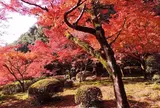 九年庵（旧伊丹家別邸）
