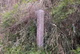 水口岡山城