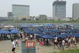 多摩川緑地バーベキュー広場
