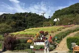 神戸布引ハーブ園/ロープウェイ