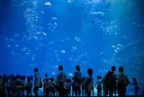 アクアワールド茨城県大洗水族館