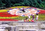 花時計「ハナック」