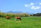 那須高原 南ヶ丘牧場