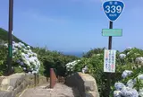 階段国道 339号