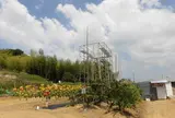 馬場