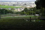 池田町　茶畑