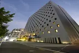 Golden Tulip