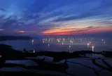 東後畑棚田