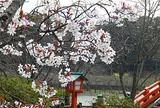 中間市地域交流センター