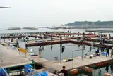釣堀海恵