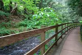 橋立吊橋