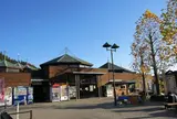 道の駅さとみ