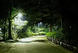 代々木公園