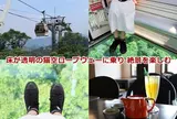 猫空