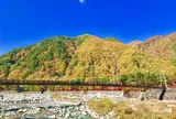駒ヶ根ファームス