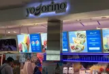 ヨゴリーノ 海ほたる店