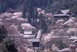 長谷寺